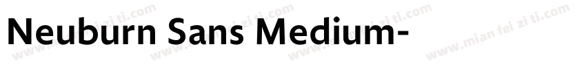 Neuburn Sans Medium字体转换